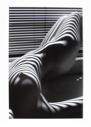 Image of Zebra Nude, New York