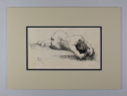 Image of Recumbent Nude