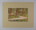 Image of Woodland Scene