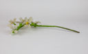 Image of Beadwork Flowers